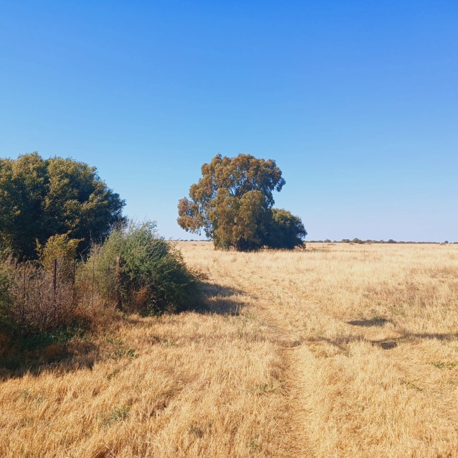 Commercial Property for Sale in Reivilo Northern Cape